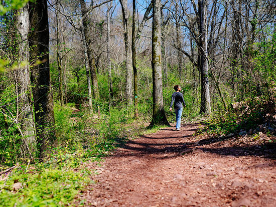 rep snakebite hiking red mountain park 550px