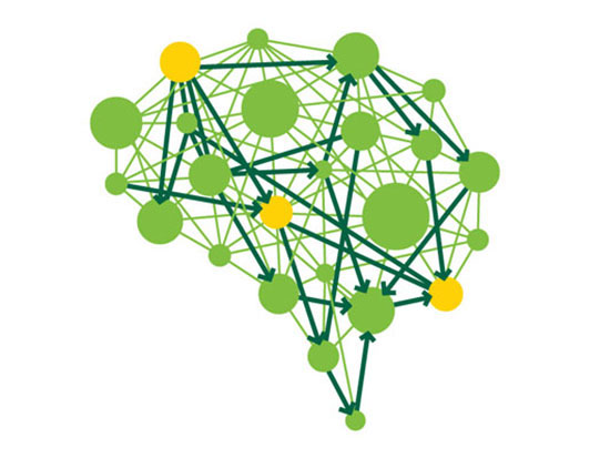 rep taub brain train 550px