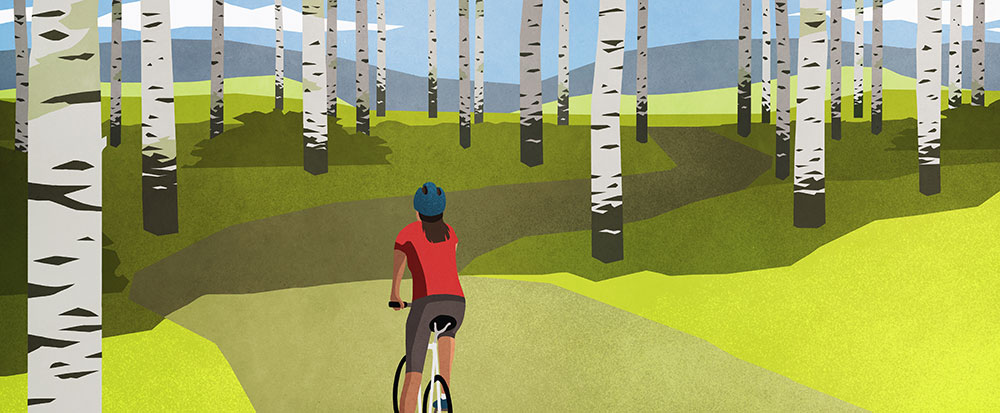 rep weight forest 1000x413