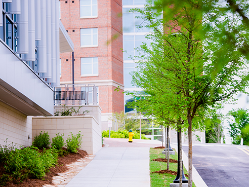 tree campus usa 2023 stream