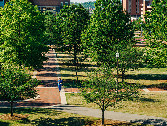 erep green trees shade mabry 550px