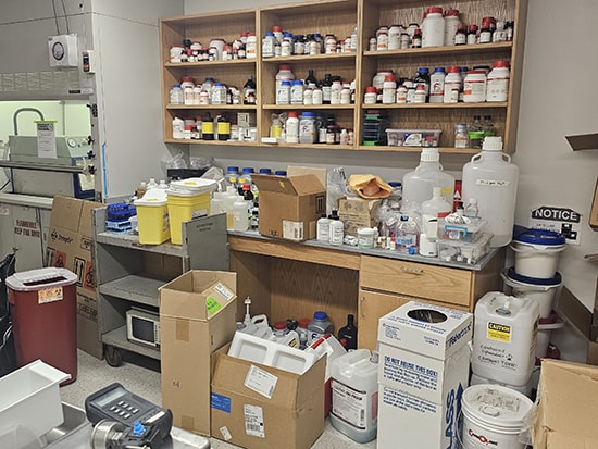 rep barb core before 1 550px