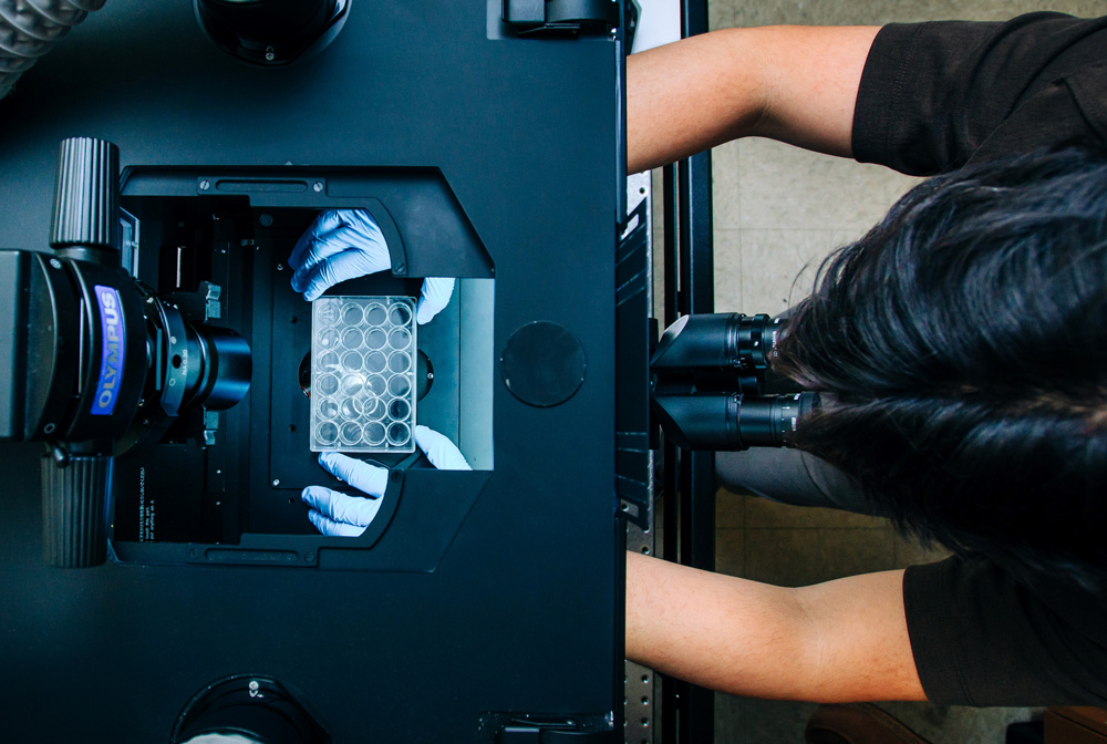 Connor Nguyen inserts a sample into the Sewell-Loftin lab's microscopet