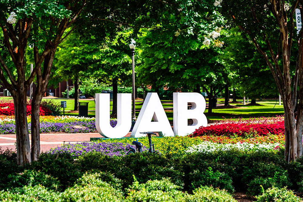 View of the large white letters that spell U A B on the Campus Green with flowers in the foreground