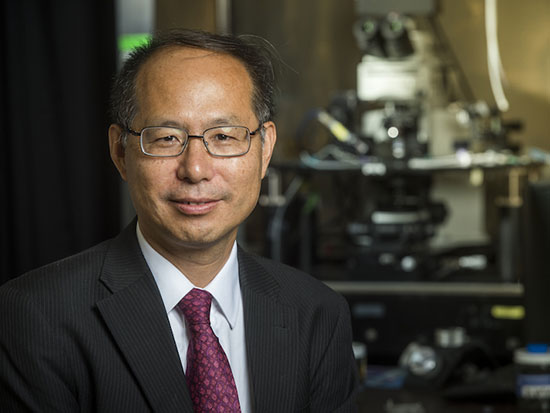 Jianguo Gu, Ph.D.