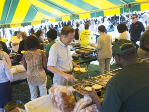 Enjoy live music, buffet lunch at the Picnic on the Green Oct. 18