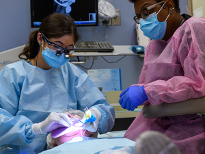 Dental coverage from BCBS is available during open enrollment