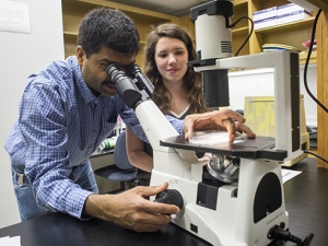 New faculty fellowship to expand undergraduate research opportunities