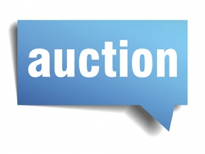 Surplus auction to be held Nov. 14