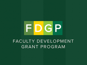 22 faculty receive grants to fund developmental projects