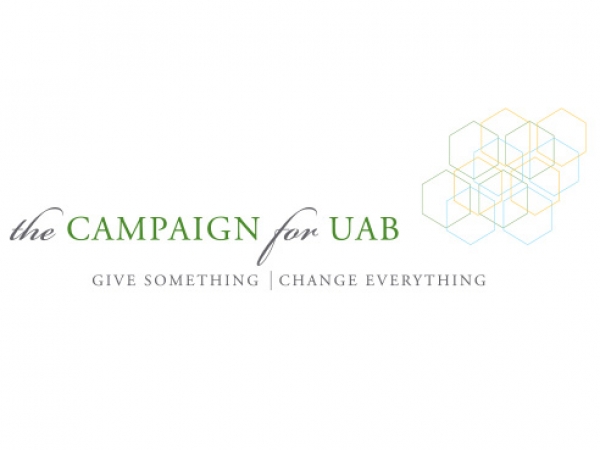Co-chairs, theme announced for fundraising campaign