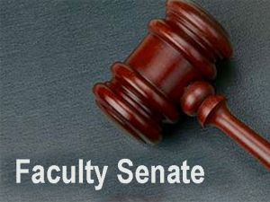 Faculty elects new officers, senators