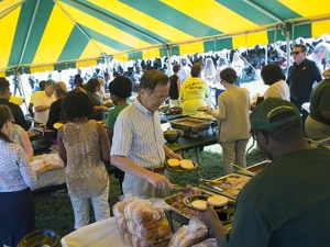 Enjoy live music, buffet lunch at the Picnic on the Green