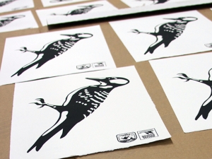 Barrett uses graphic design to help save endangered woodpeckers
