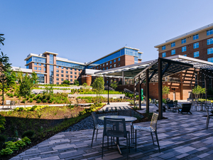 Look for these 7 new spaces transforming UAB’s campus