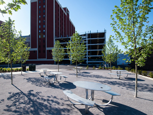 Meet the Townhouse Park, UAB’s newest green space