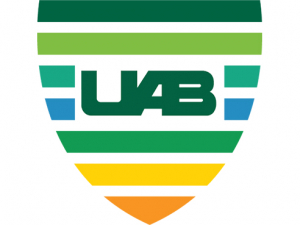 Nominations now being accepted for new UAB VIP Award