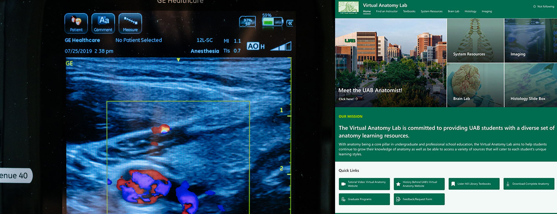 New site gives UAB students an edge in anatomy studies