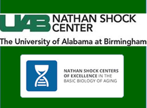 UAB Nathan Shock Center Pilot/Feasibility Project Awards