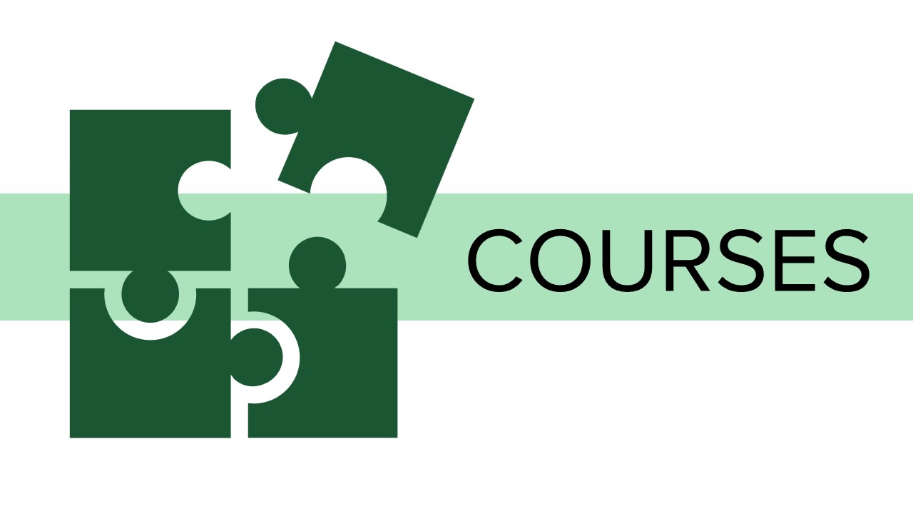 Curriculum Development