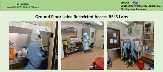 SEBLAB Ground Floor Labs: Restricted Access BSL3 Laboratory