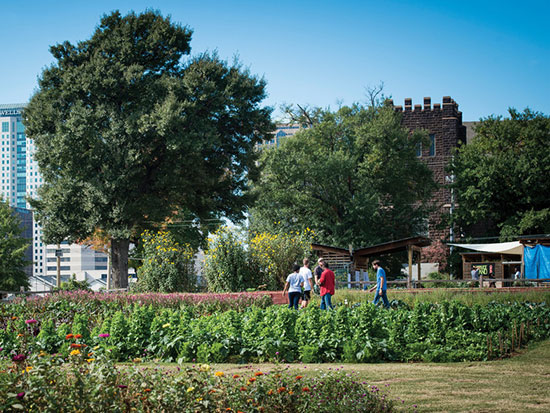 Volunteers working at the Jones Valley Farm, under blue sky and with trees in the background.