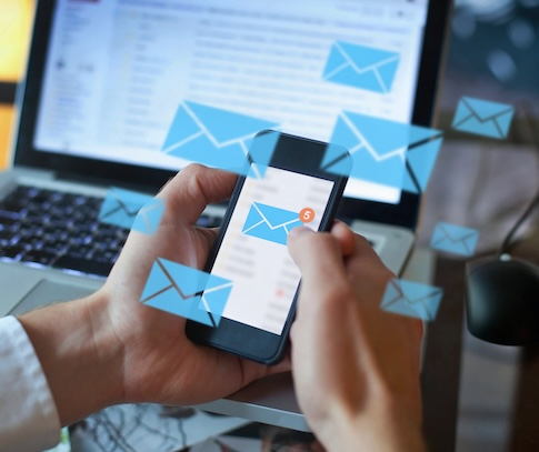 Licensure & Verifications