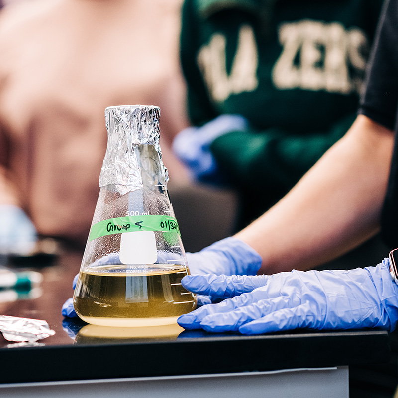 Biomedical Sciences Major