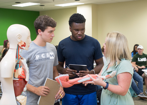 two biomedical sciences students engage with instructor