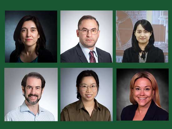 UAB Diabetes Research Center names 2026 pilot grant awardees 
