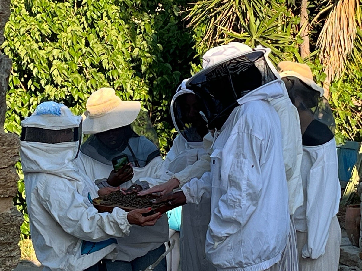 Multiple people in full beekeeper outfits.