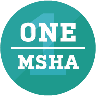 One MSHA Endowed Scholarship