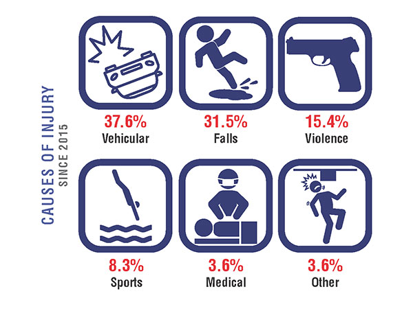 Causes of Injury since 2015: 37.6% vehicular, 31.5% falls, 15.4% violence, 8.3% sports, 3.6% medical, 3.6% other.