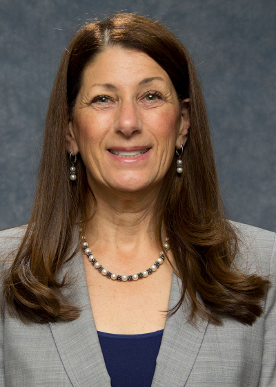 Sue Feldman, RN, MEd, Phd, Health Services Administration, Director of Graduate Programs in Health Informatics