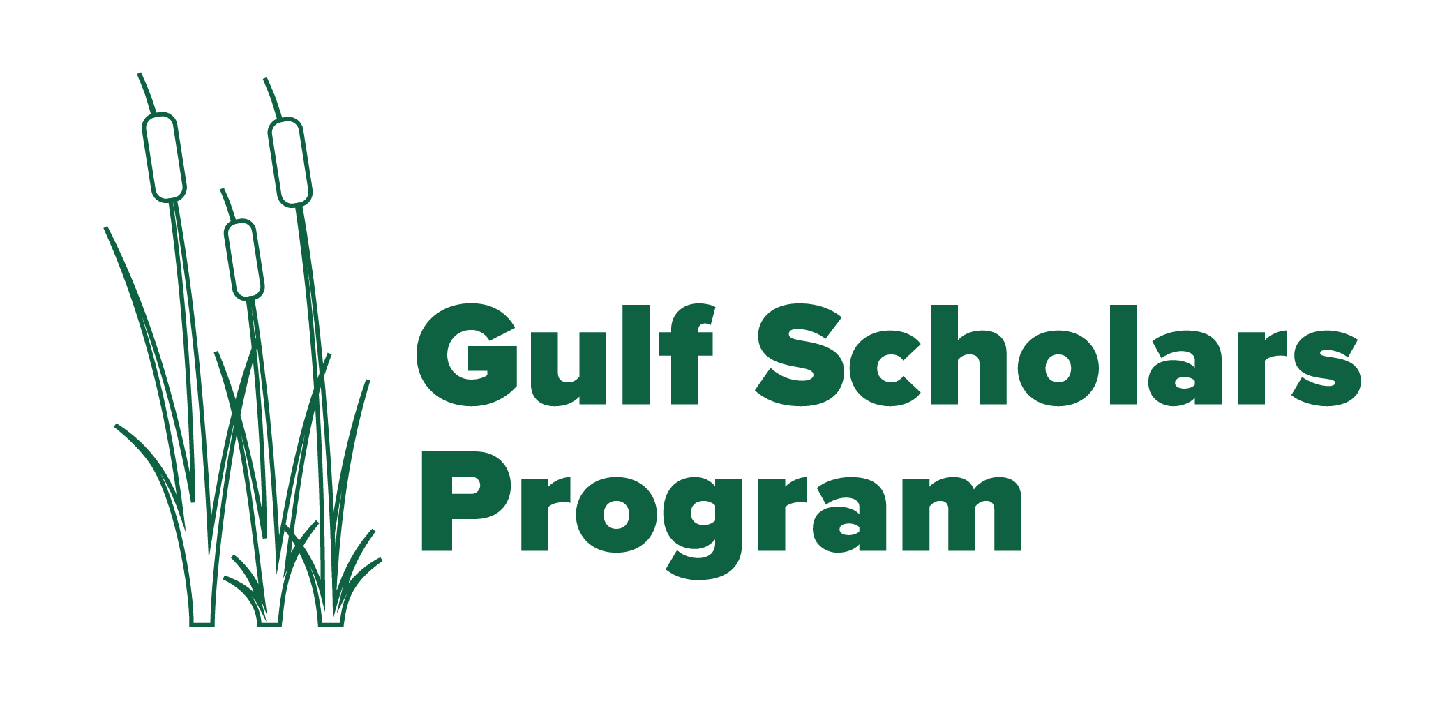 gulf scholars program