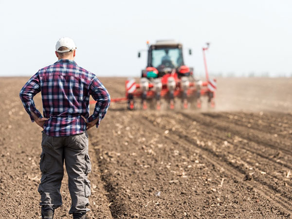 A farmer stands with back to camera, hands on his hips, as a tractor plows a dusty field. 