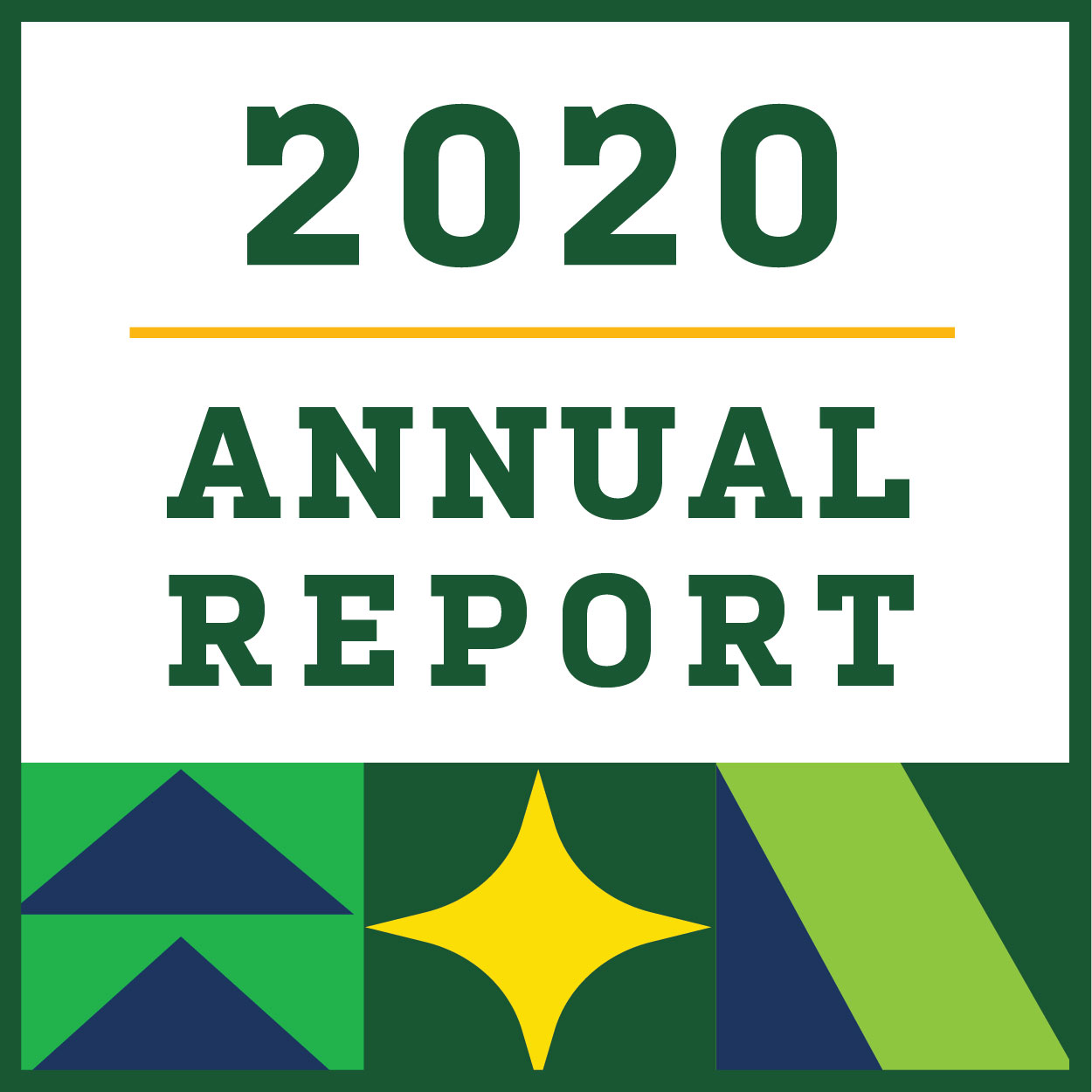 2020 Annual Report