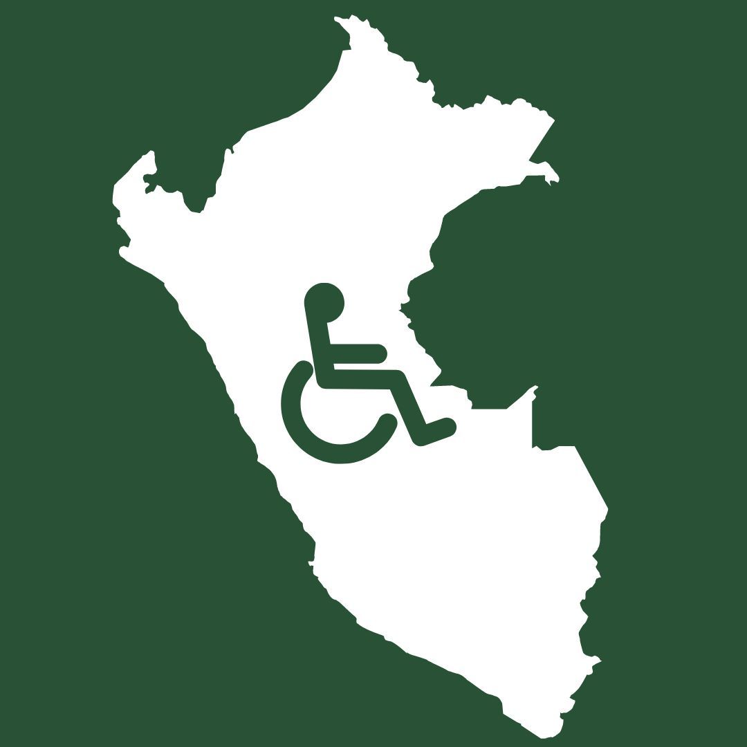 Seminar Peru Disability