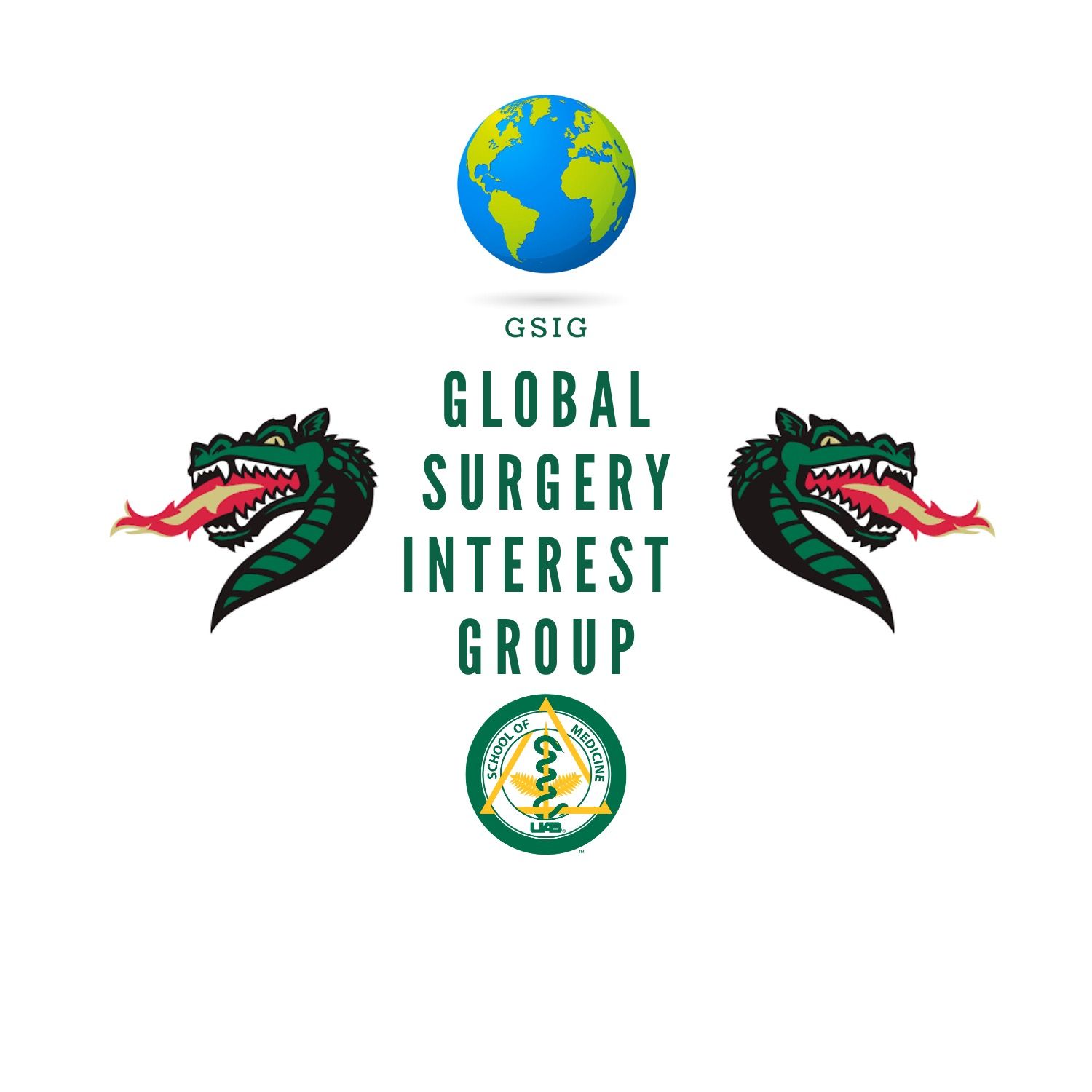 Global Surgery Interest Group