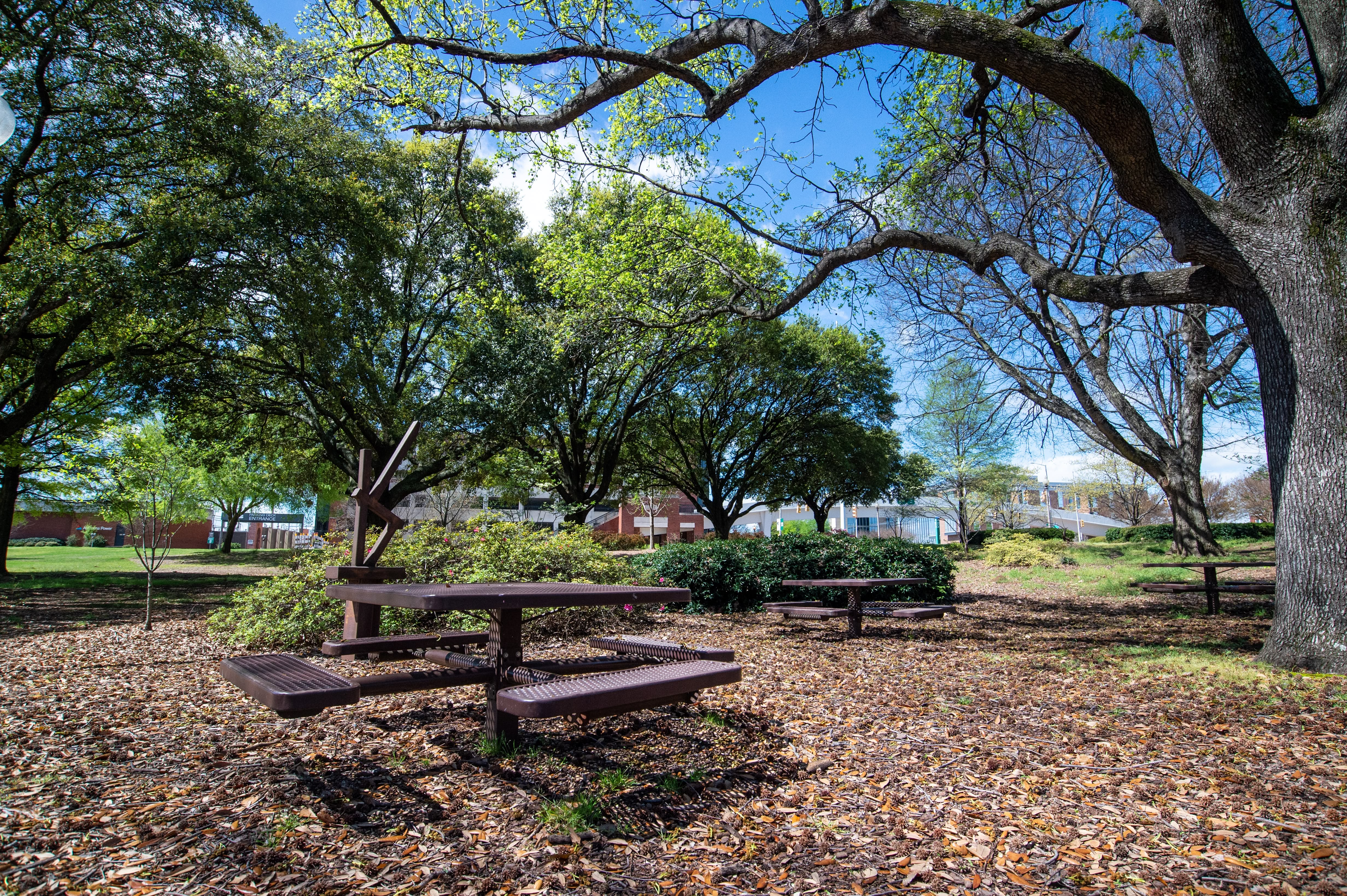 Mini Park