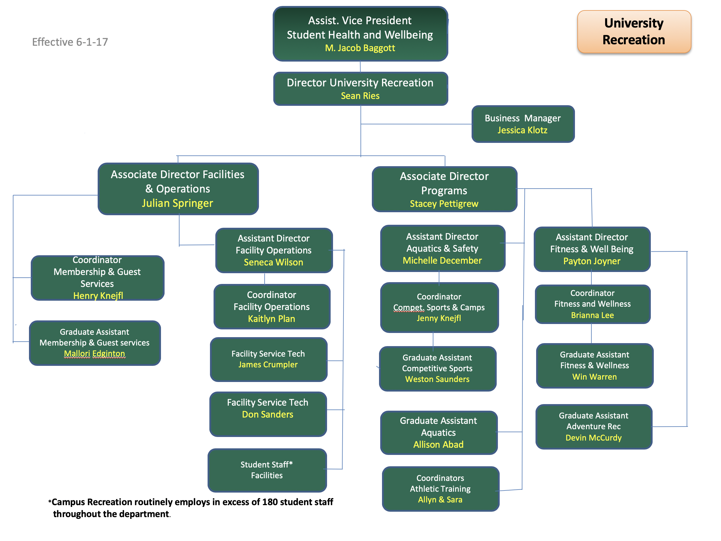 Organizational Chart Students University Recreation