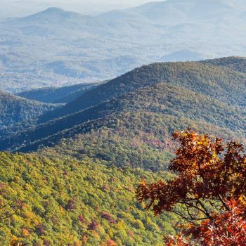 Appalachian Trail Backpacking - March 11 - March 18