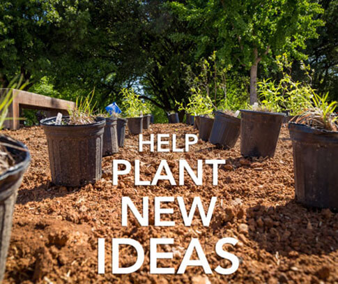 Image of rows of plants in plastic potting containers with text 'Help Plant New Ideas'.
