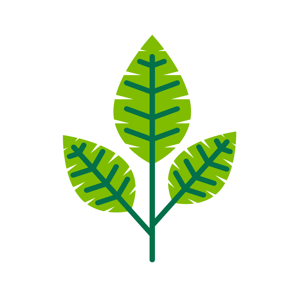 Graphic of a branch with three leaves.
