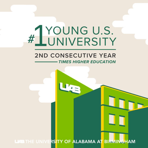 #1 Young University Ranking