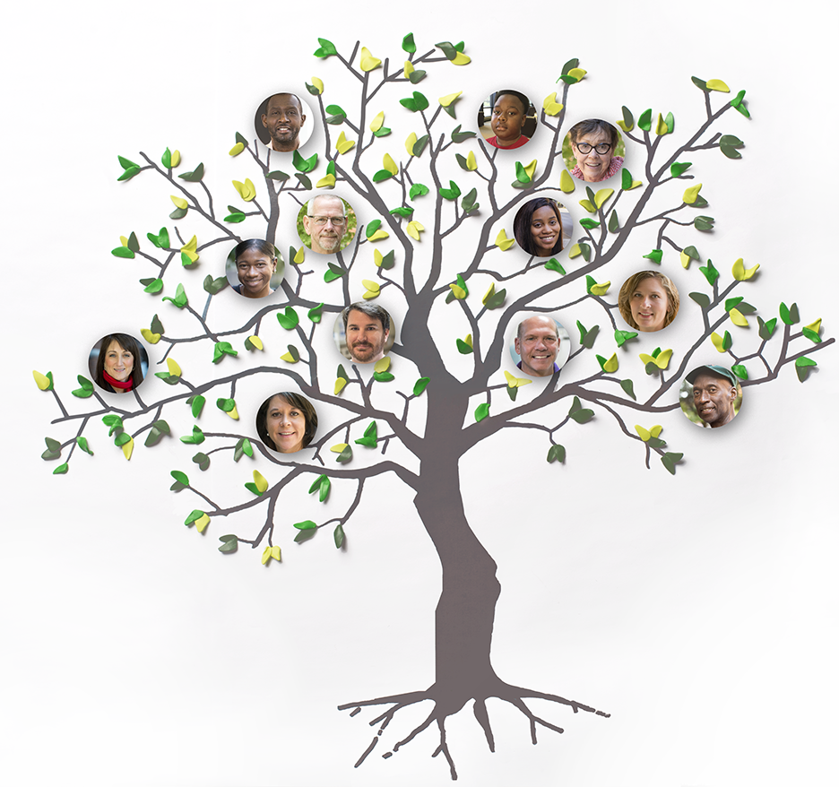Illustration of tree with photos of some kidney chain donors and recipients