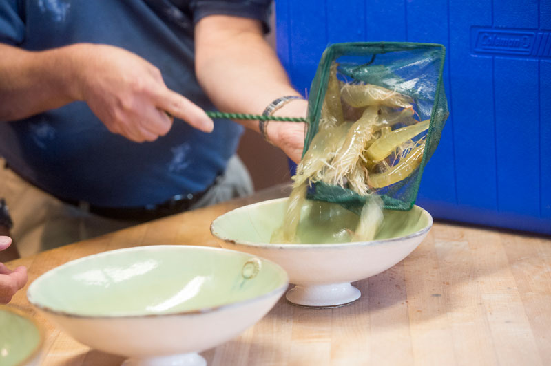 Photo of raw shrimp being poured into bowl