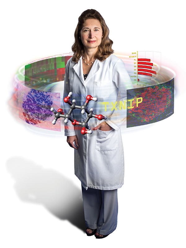 Illustration of Anath Shalev surrounded by drug discovery elements