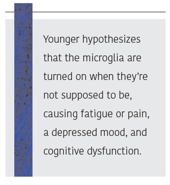 Quote: Younger hypothesizes that the microglia are turned on when they're not supposed to be, causing fatigue or pain, a depressed mood, and cognitive dysfunction