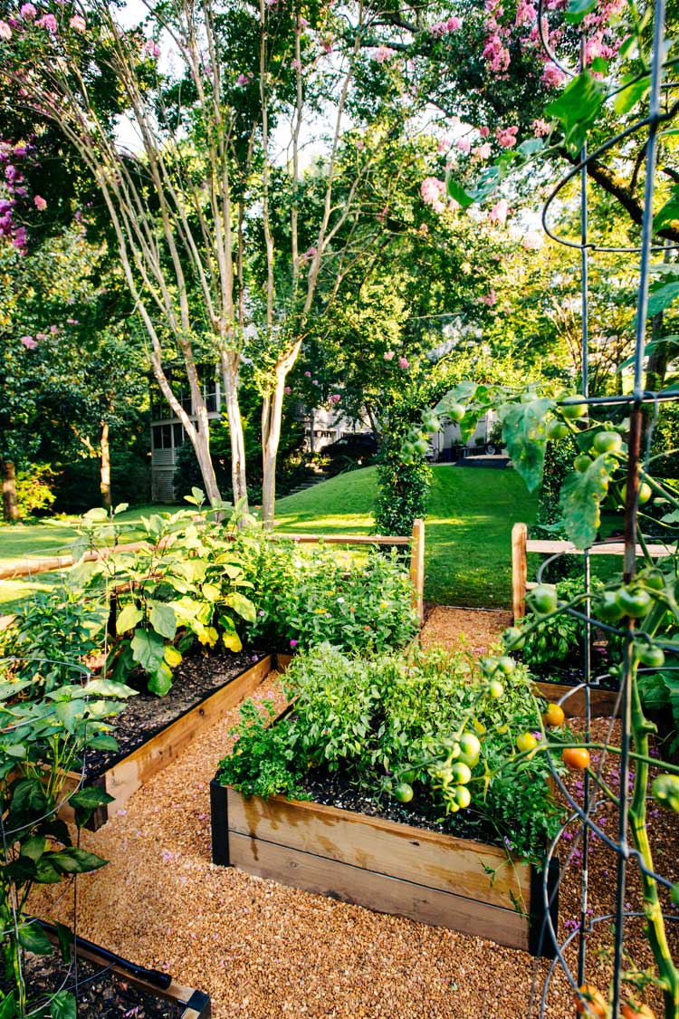 Whether he’s rebuilding beds, planting seedlings, or cutting flowers, Downs is refreshed by his backyard plot. 